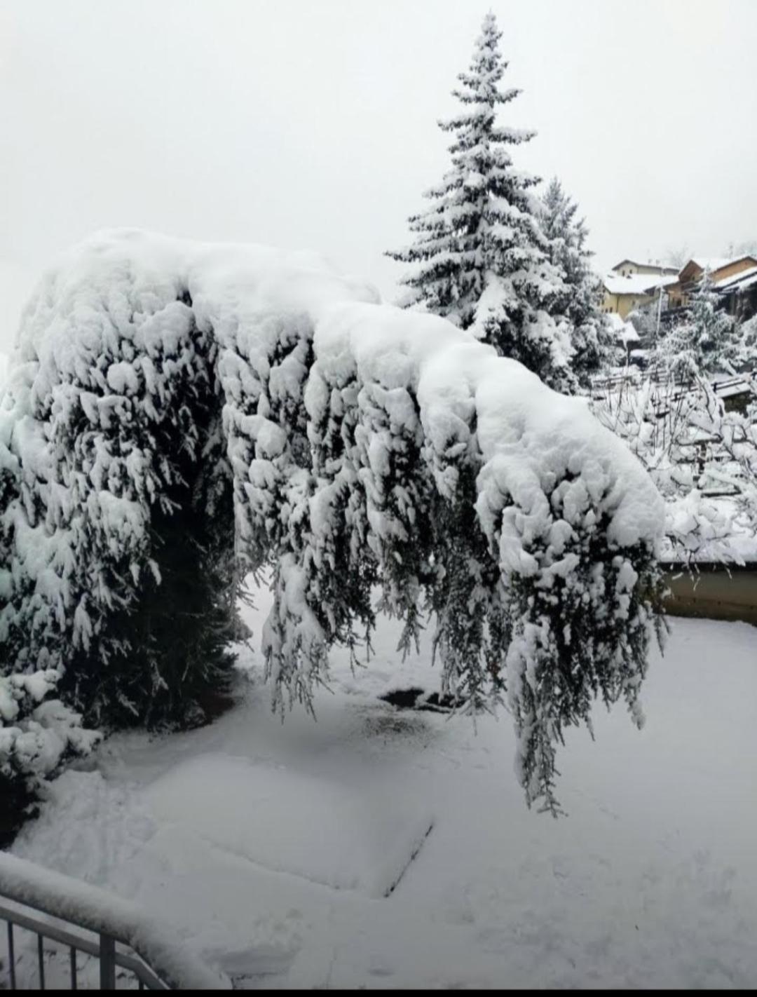 La Sarrolein Cir 0009 Villa Aosta Dış mekan fotoğraf
